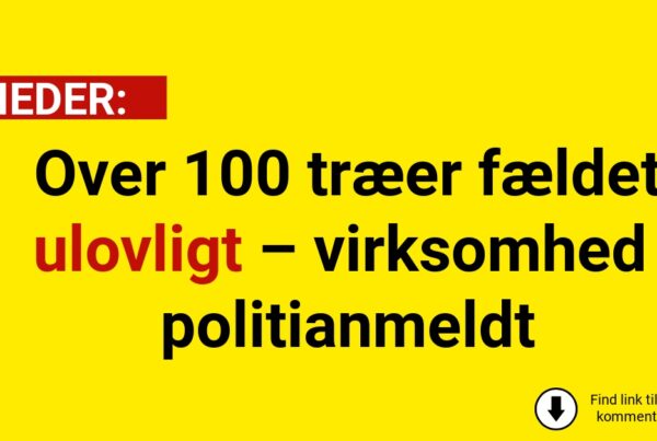 Over 100 træer fældet ulovligt – virksomhed politianmeldt