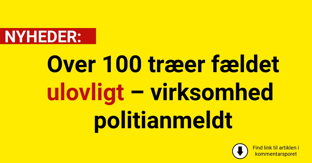Over 100 træer fældet ulovligt – virksomhed politianmeldt