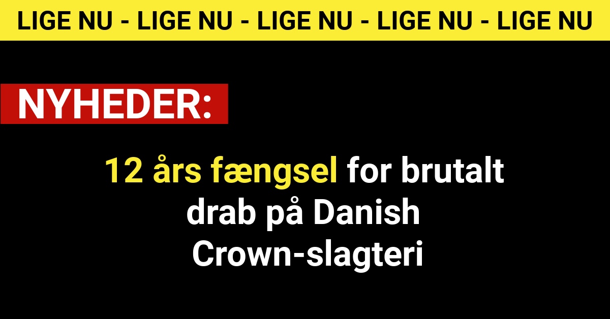 12 års fængsel for brutalt drab på Danish Crown-slagteri