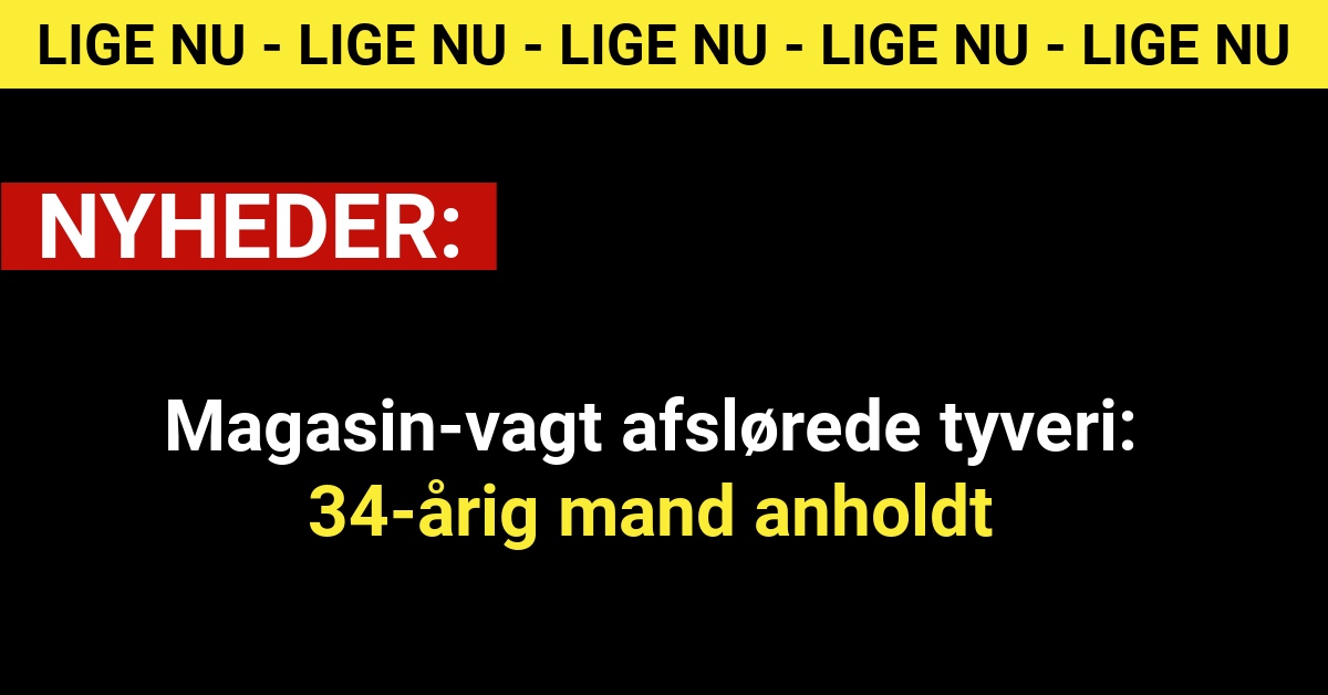 Magasin-vagt afslørede tyveri: 34-årig mand anholdt