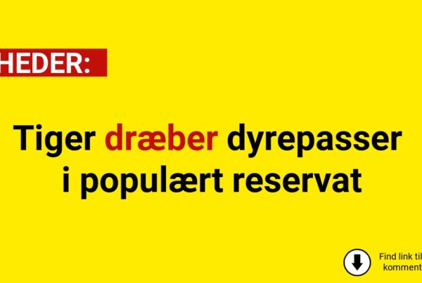 Tiger dræber dyrepasser i populært reservat