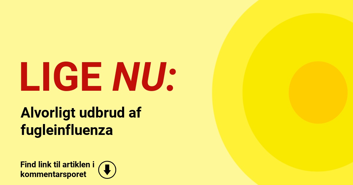 Alvorligt udbrud af fugleinfluenza