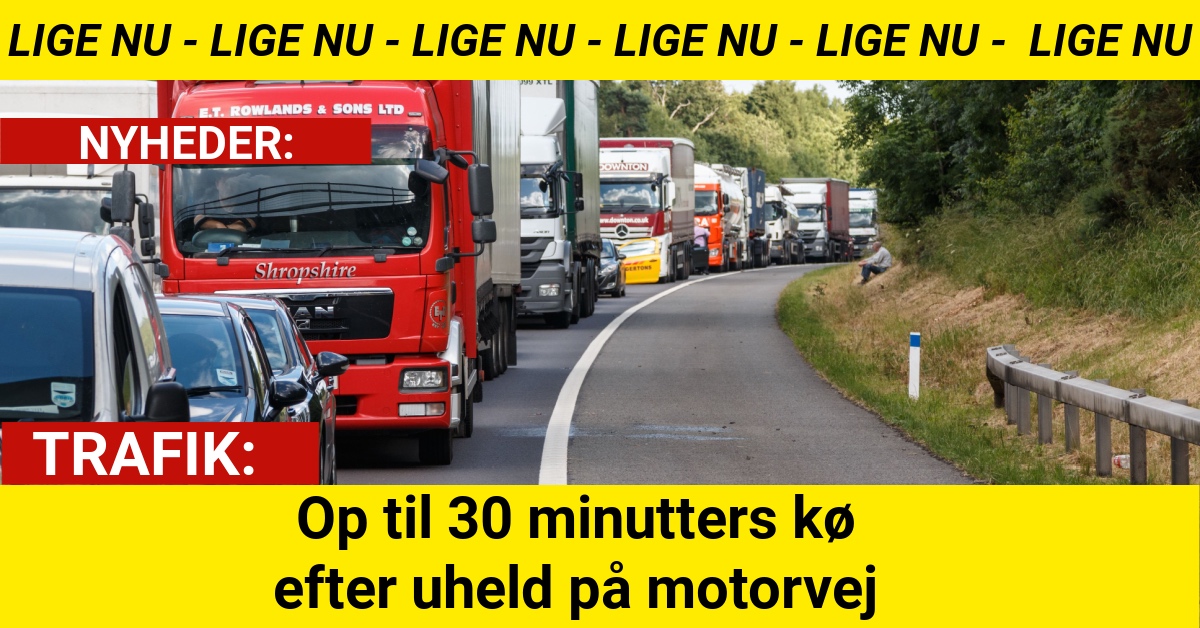 Op til 30 minutters kø efter uheld på motorvej