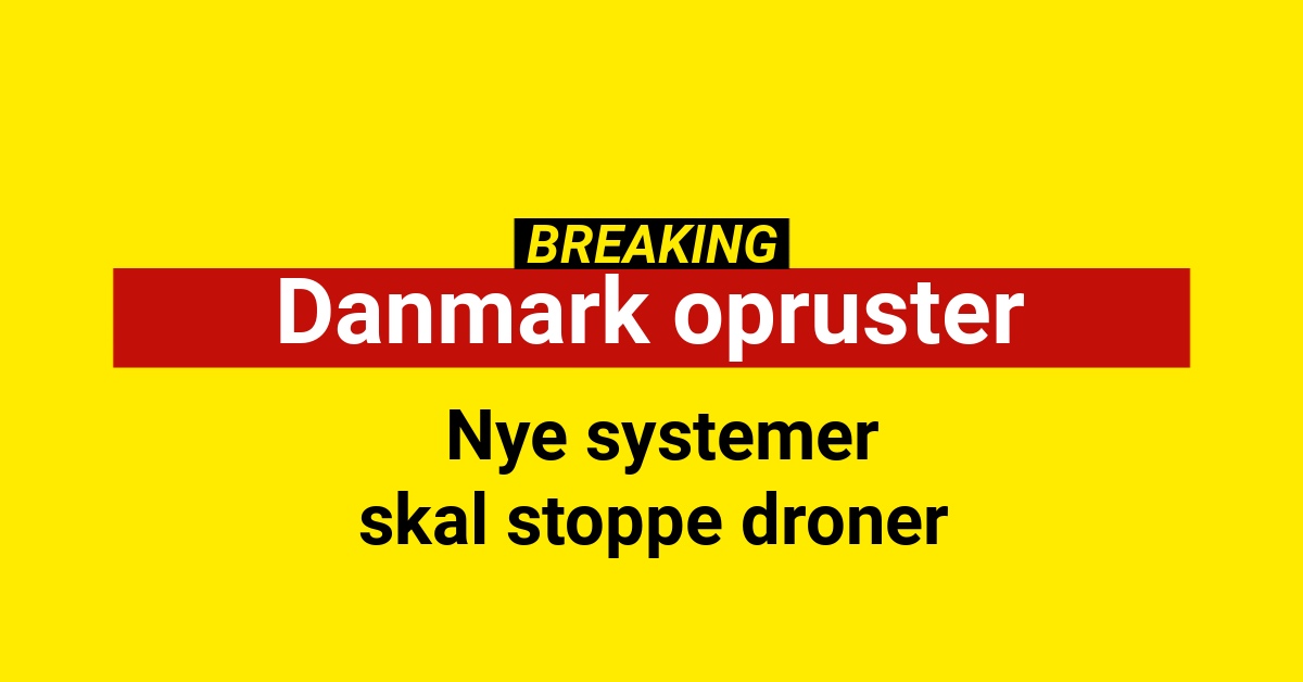 Danmark opruster: Nye systemer skal stoppe droner
