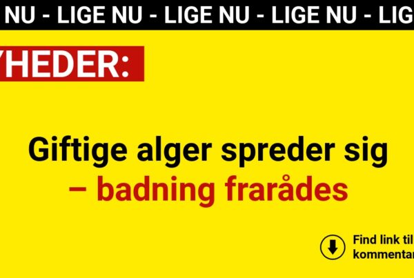 Giftige alger spreder sig – badning frarådes