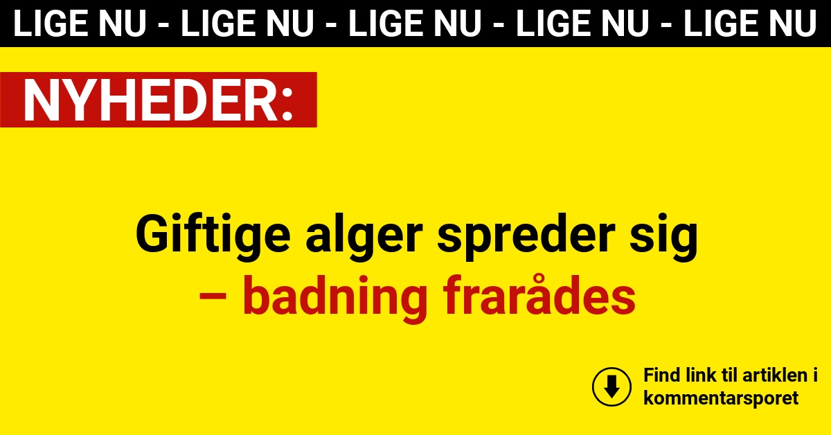 Giftige alger spreder sig – badning frarådes