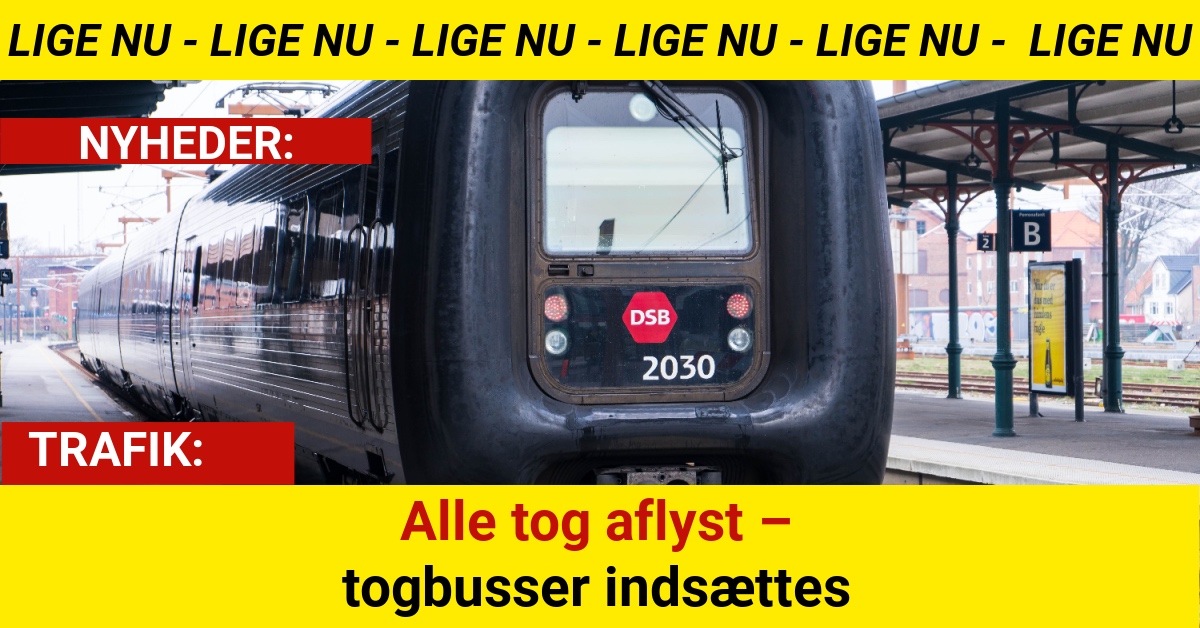 Alle tog aflyst – togbusser indsættes
