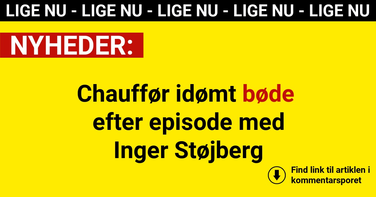 Chauffør idømt bøde efter episode med Inger Støjberg