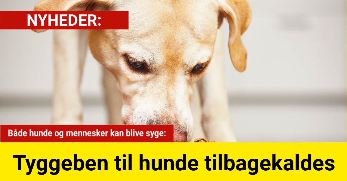 tyggeben tilbagekaldes