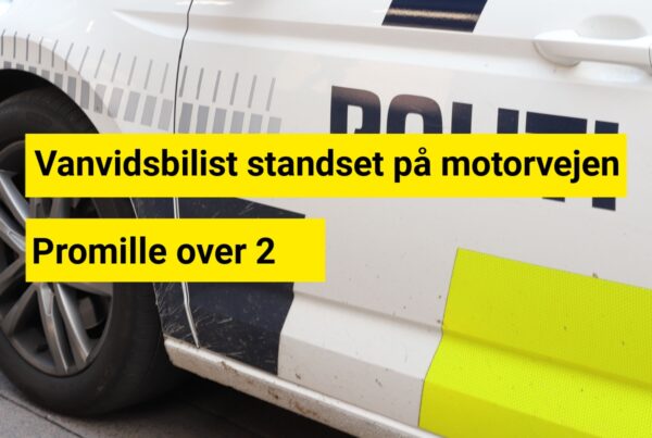 Vanvidsbilist standset på motorvejen: Promille over 2