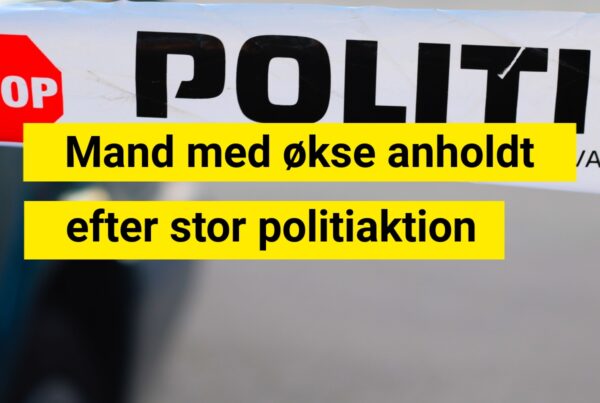 Mand med økse anholdt efter stor politiaktion