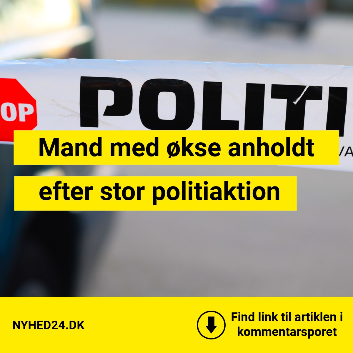 Mand med økse anholdt efter stor politiaktion