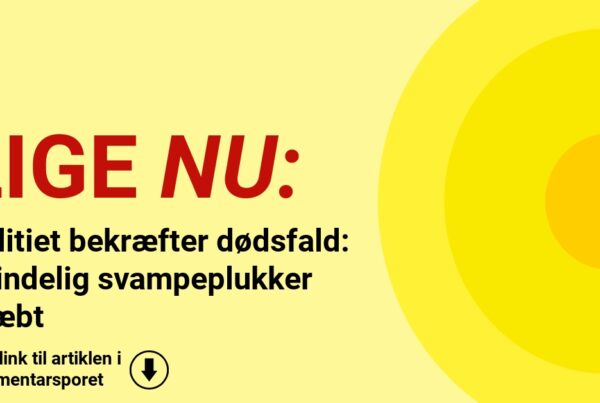 Politiet bekræfter dødsfald: Kvindelig svampeplukker dræbt