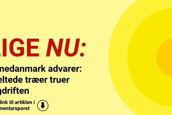 Banedanmark advarer: Væltede træer truer togdriften