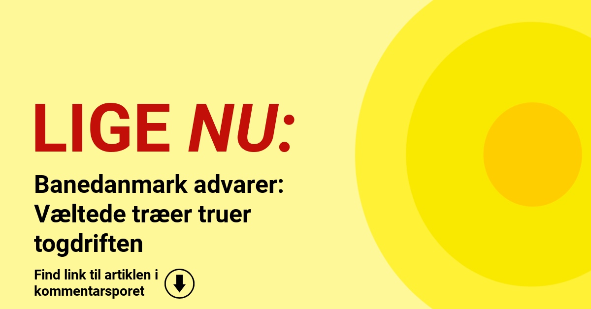 Banedanmark advarer: Væltede træer truer togdriften