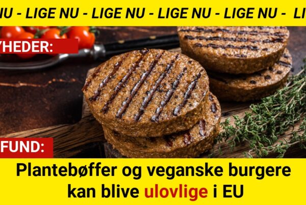 Plantebøffer og veganske burgere kan blive ulovlige i EU