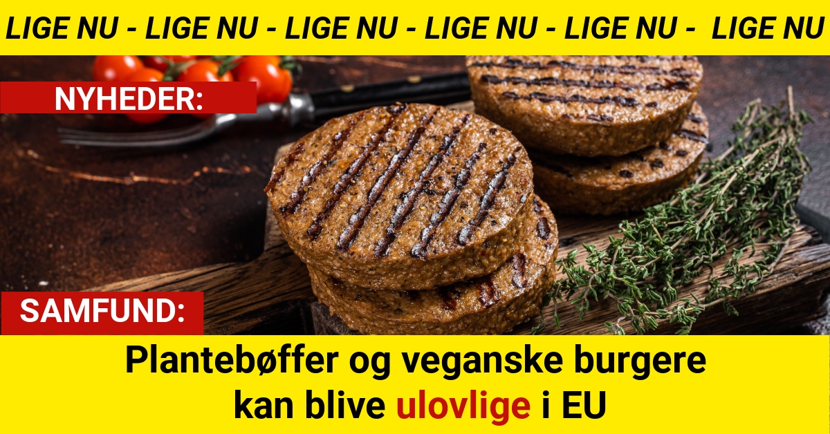 Plantebøffer og veganske burgere kan blive ulovlige i EU
