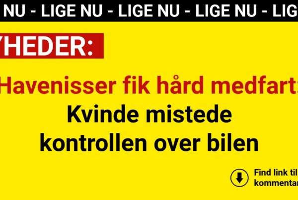 Havenisser fik hård medfart: Kvinde mistede kontrollen over bilen