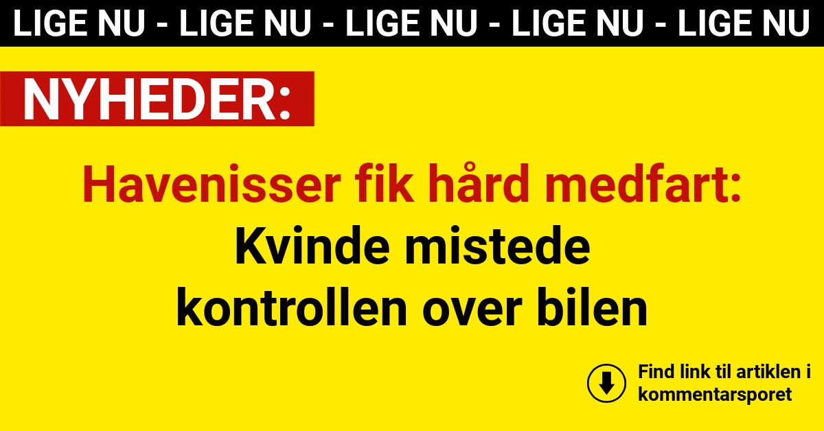 Havenisser fik hård medfart: Kvinde mistede kontrollen over bilen