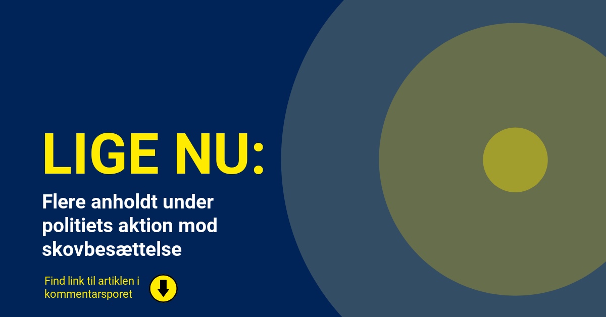 Flere anholdt under politiets aktion mod skovbesættelse
