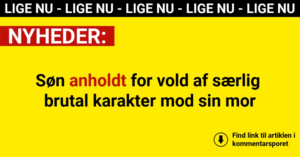 Søn anholdt for vold af særlig brutal karakter mod sin mor