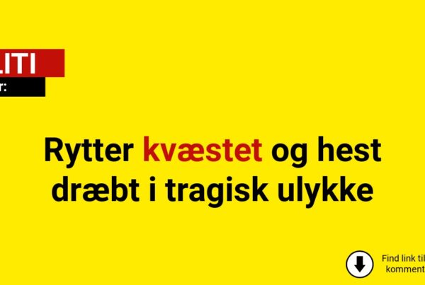 Rytter kvæstet og hest dræbt i tragisk ulykke