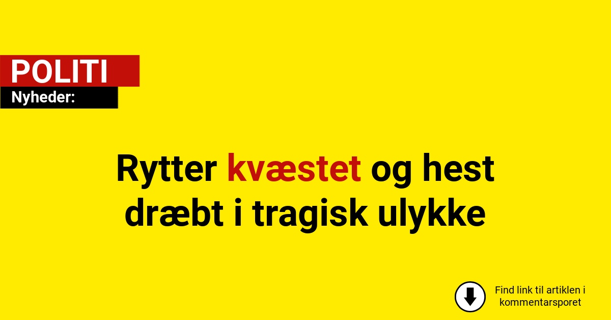 Rytter kvæstet og hest dræbt i tragisk ulykke