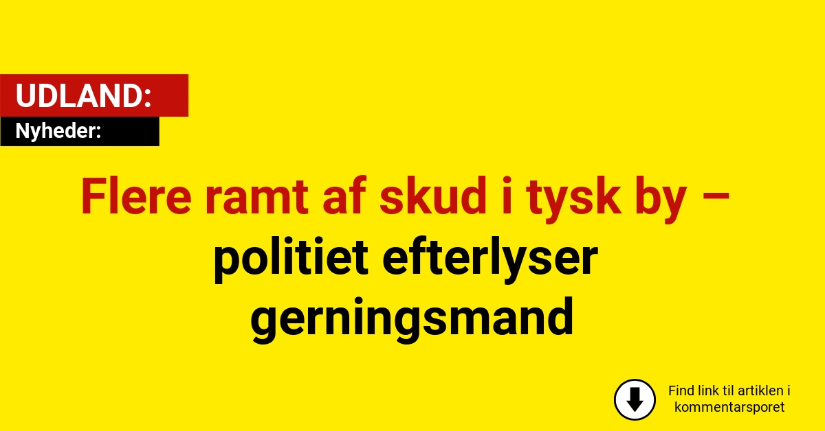 Flere ramt af skud i tysk by – politiet efterlyser gerningsmand