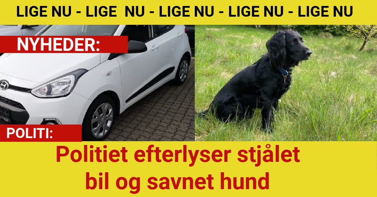 Politiet efterlyser stjålet bil og savnet hund