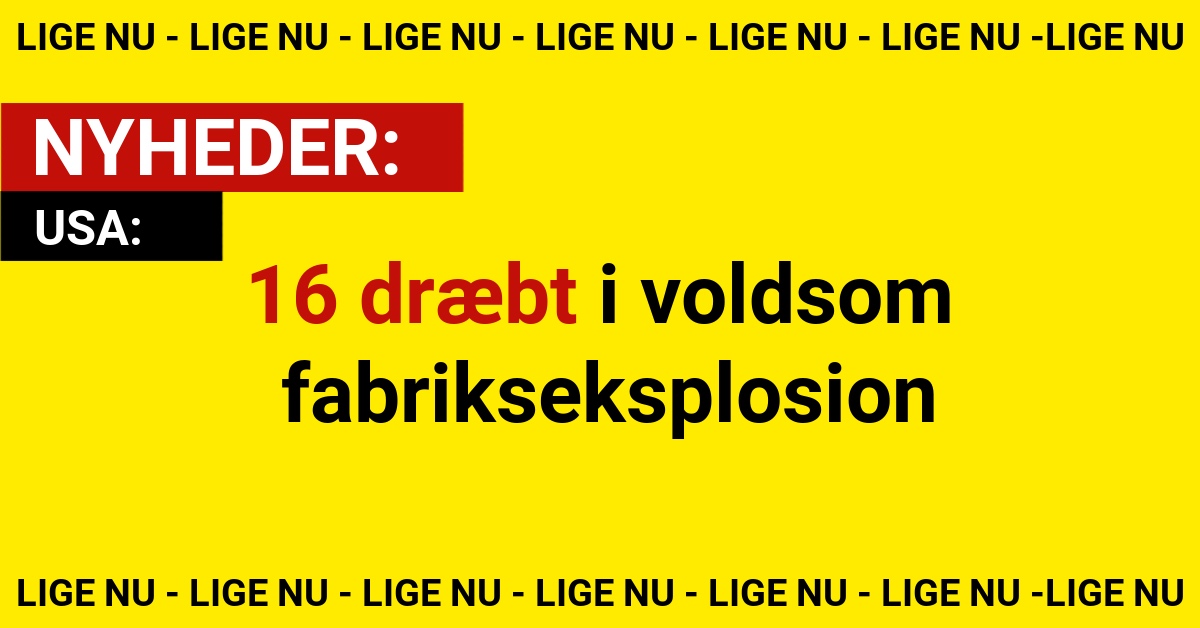 16 dræbt i voldsom fabriks­eksplosion