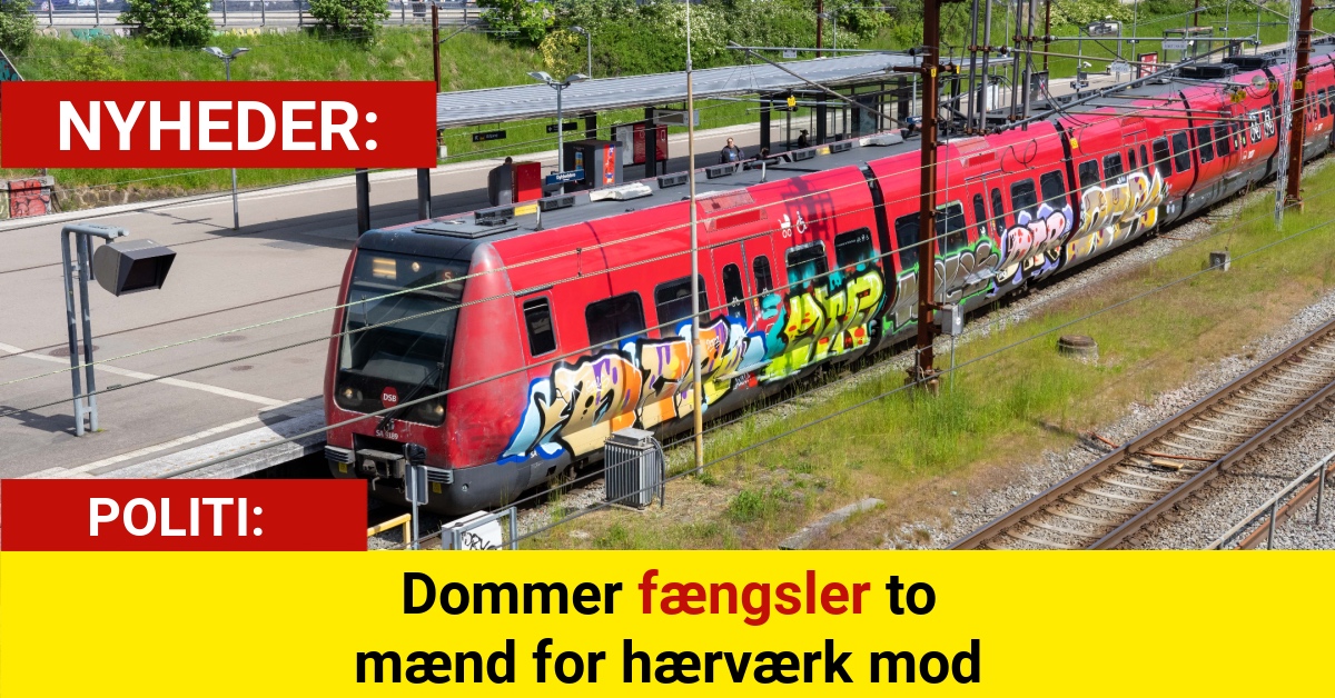 Dommer fængsler to mænd for hærværk mod