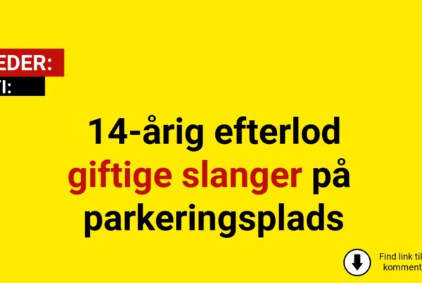 14-årig efterlod giftige slanger på parkeringsplads