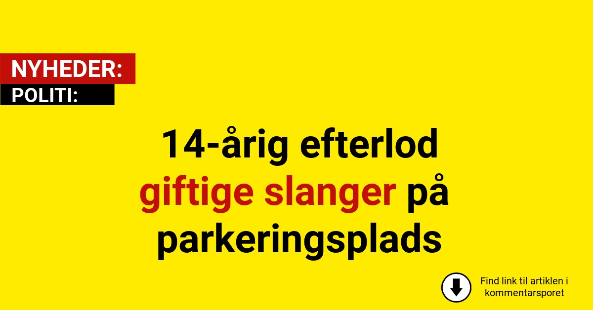 14-årig efterlod giftige slanger på parkeringsplads