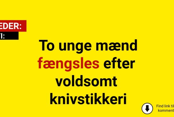 To unge mænd fængsles efter voldsomt knivstikkeri