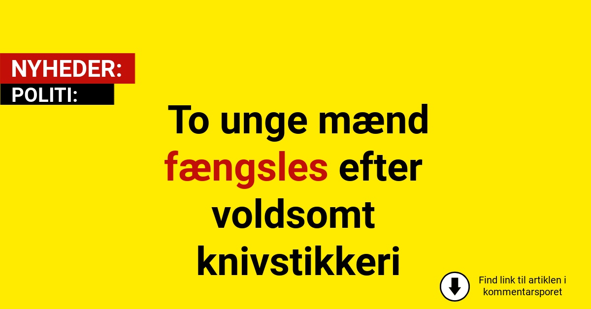 To unge mænd fængsles efter voldsomt knivstikkeri