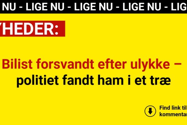 Bilist forsvandt efter ulykke – politiet fandt ham i et træ