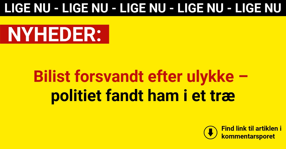 Bilist forsvandt efter ulykke – politiet fandt ham i et træ