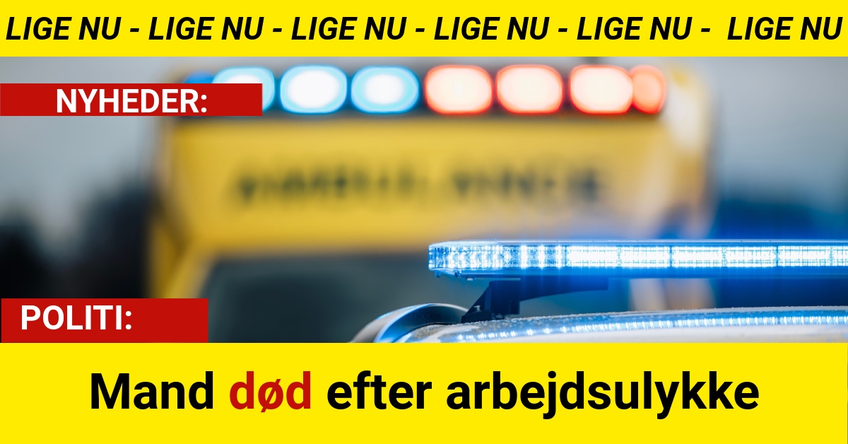 Mand død efter arbejdsulykke