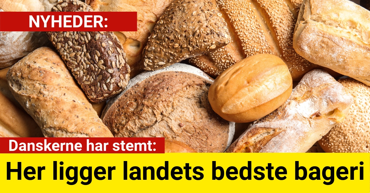 Danskerne har stemt:
