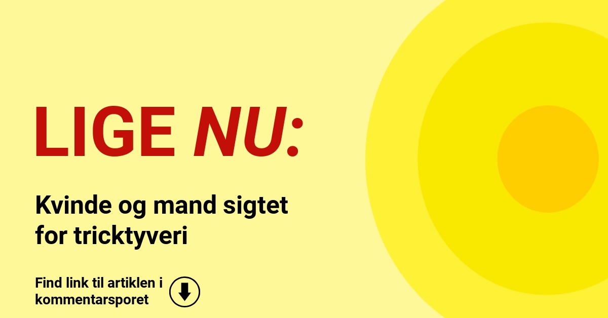 Kvinde og mand sigtet for tricktyveri