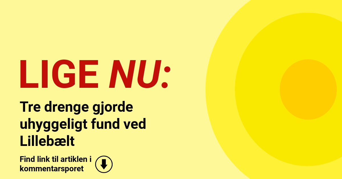 Tre drenge gjorde uhyggeligt fund ved Lillebælt