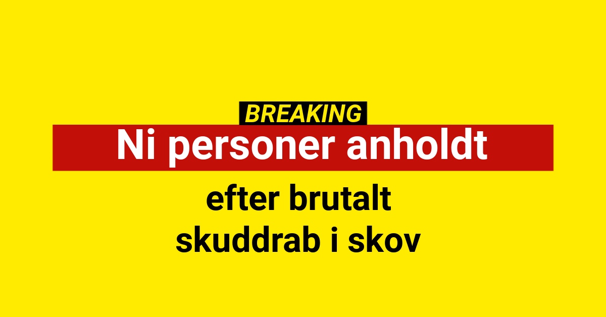 Ni personer anholdt efter brutalt skuddrab i skov