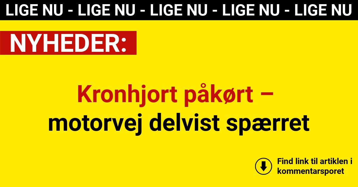 Kronhjort påkørt – motorvej delvist spærret