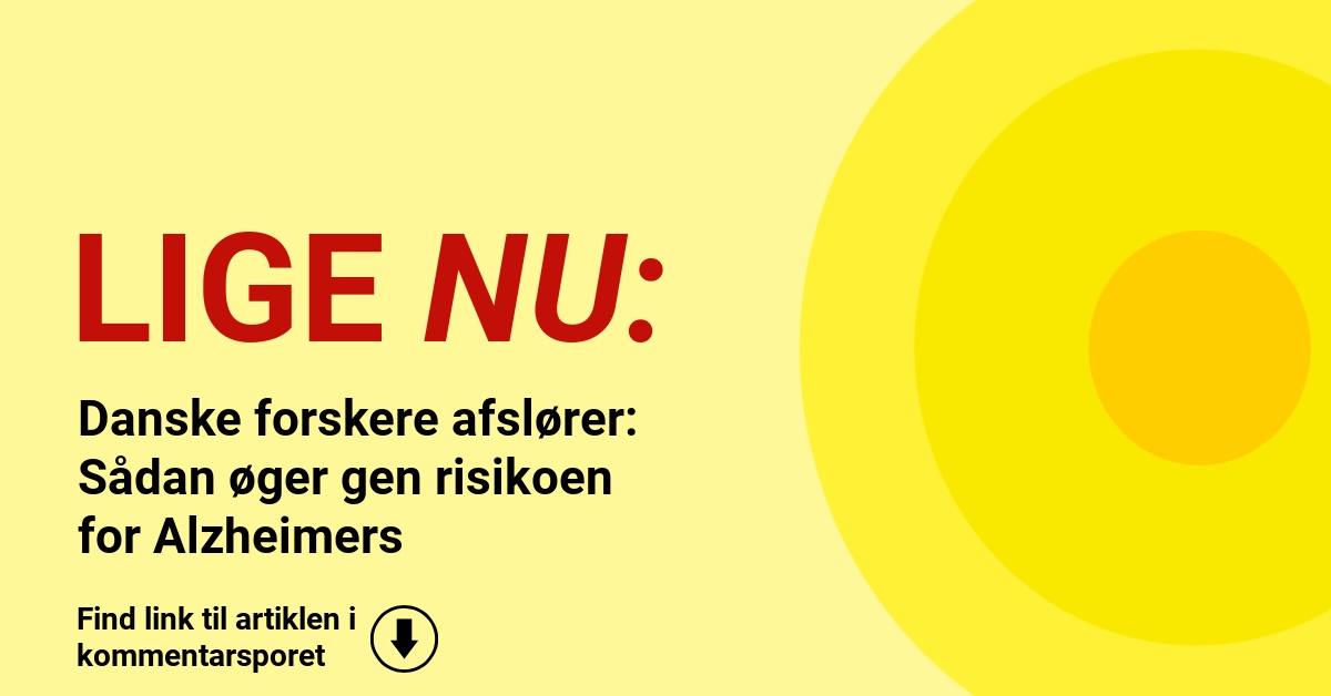 Danske forskere afslører: Sådan øger gen risikoen for Alzheimers