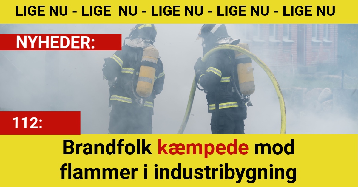 Brandfolk kæmpede mod flammer i industribygning