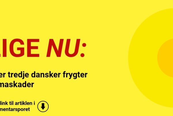 Hver tredje dansker frygter klimaskader