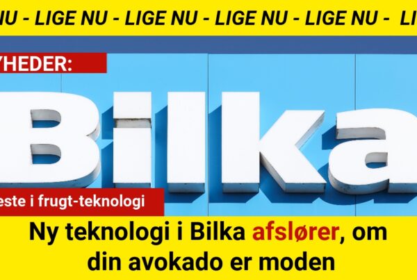 Ny teknologi i Bilka afslører, om din avokado er moden