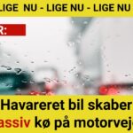 Havareret bil skaber massiv kø på motorvejen