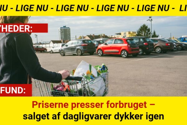 Priserne presser forbruget – salget af dagligvarer dykker igen