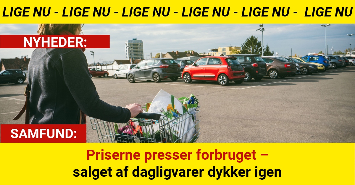 Priserne presser forbruget – salget af dagligvarer dykker igen